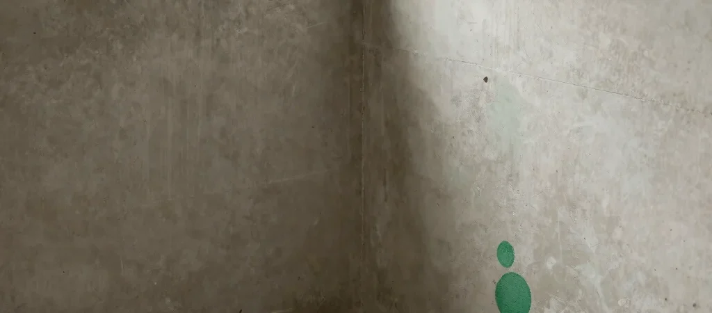 Read the Clues in a Damp Basement